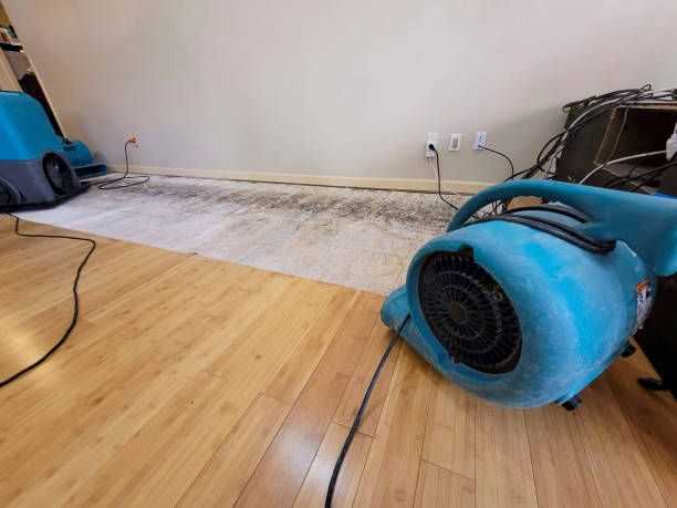 Professional Structural Drying technician working in Calumet, OK